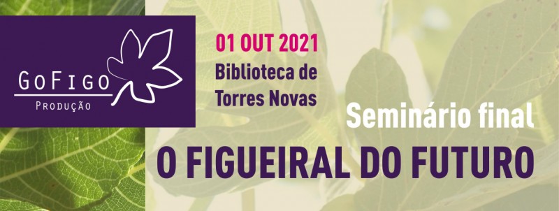 O Figueiral do Futuro programa