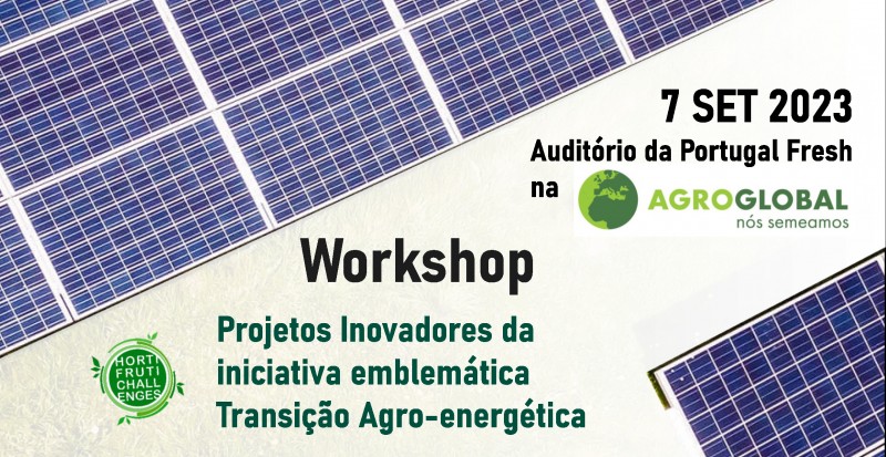 PIIETAgro energetica