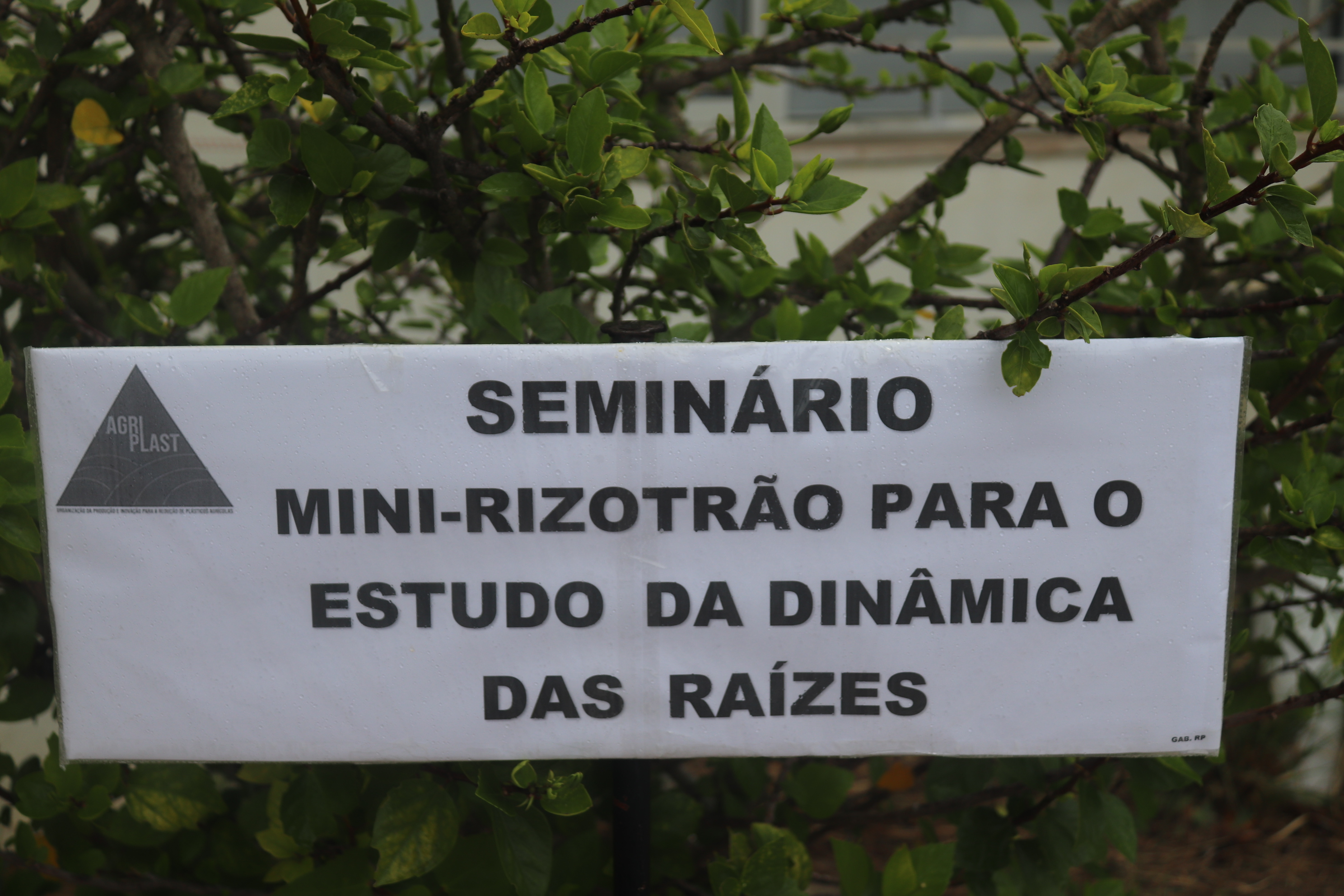 Seminário “Mini-rizotrão para o Estudo da Dinâmica das Raízes”