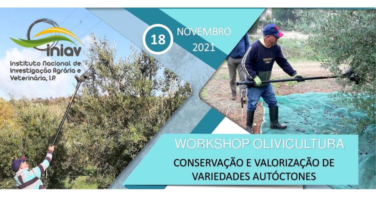 WORKSHOP OLIVICULTURA 18 11 2021