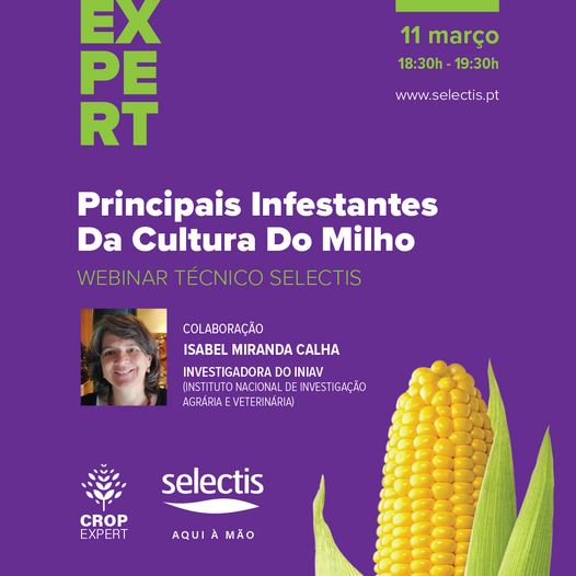 Webinar Principais Infestantes da cultura do Milho