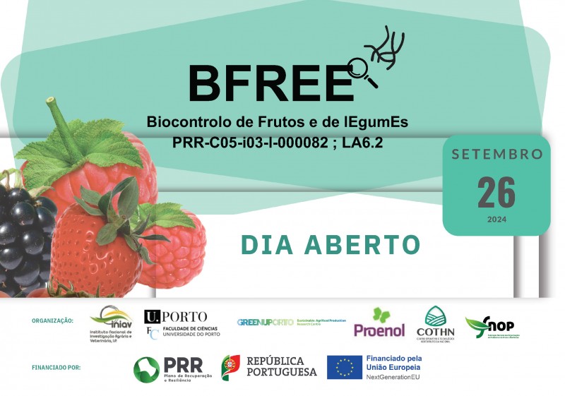 Dia aberto BFREE Dia aberto BFREE