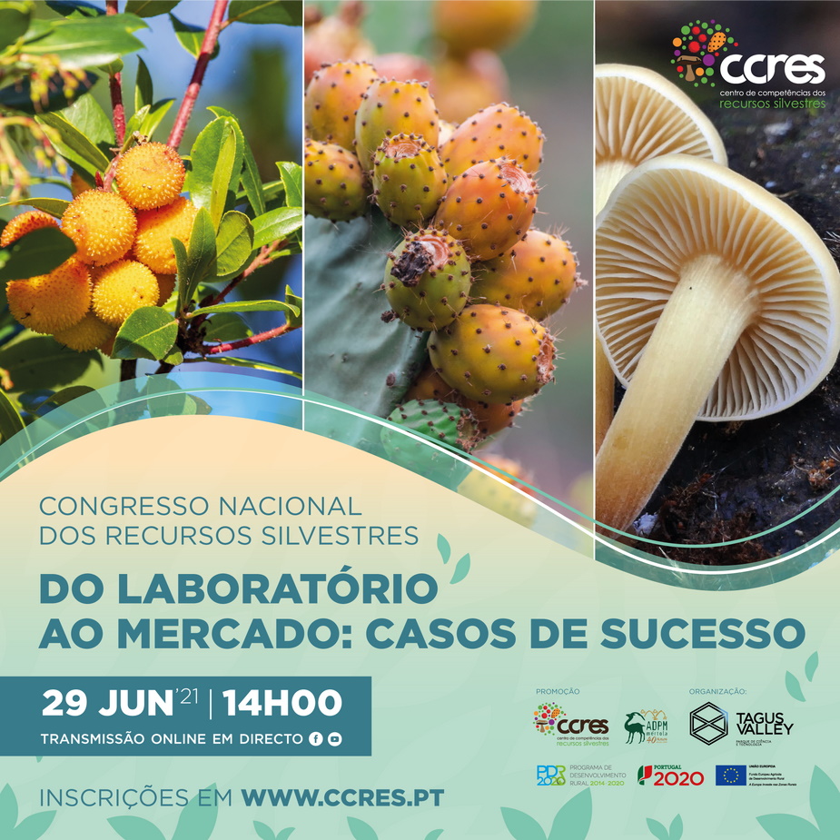 do laboratorio ao mercado