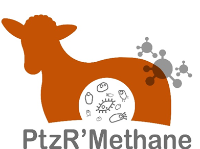 ptzr methane