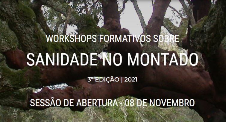 sanidade do montado