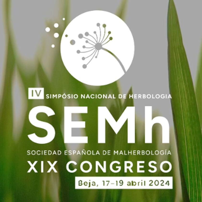 semh 2024