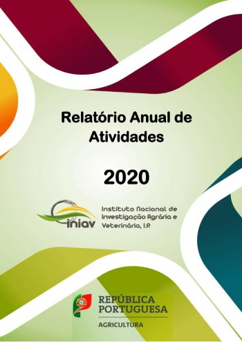 Relatório de Atividades 2020