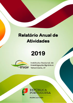 Relatório de Atividades 2019