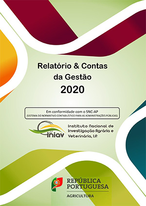 relatório e Contas da Gestão 2020