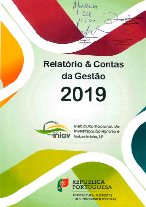 Relatório e Contas da Gestão 2019