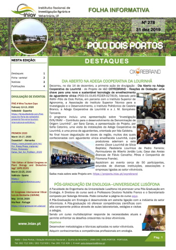 Folha Informativa nº 278 - 31 dezembro 2019