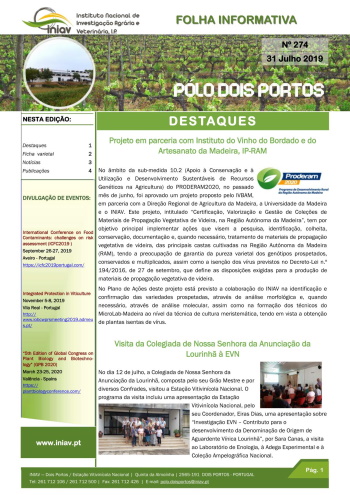 Folha Informativa nº 274 - 31 Julho 2019