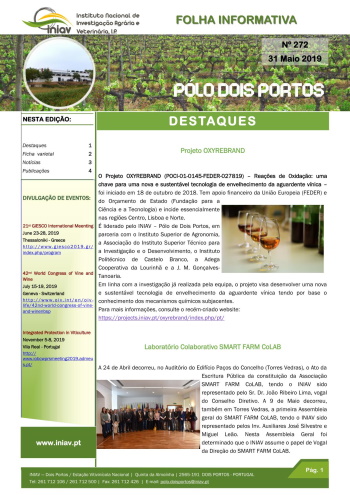 Folha Informativa nº 272 - 31 maio 2019