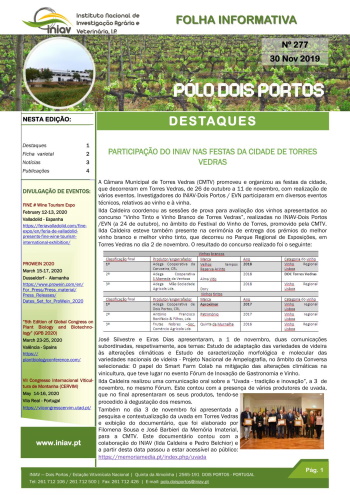 Folha Informativa nº 277 - 30 novembro 2019
