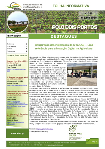 Folha Informativa nº 285 - 31 Julho 2020