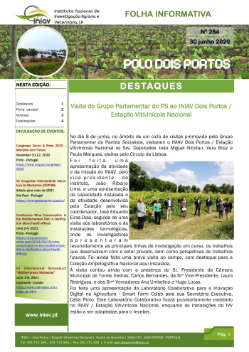 Folha Informativa nº 284 - 30 Junho 2020