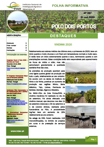Folha Informativa nº 287 - 31 outubro 2020