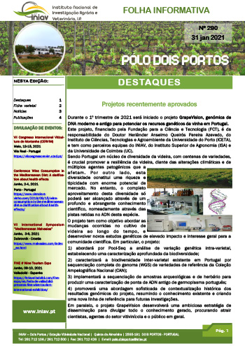 Folha Informativa nº 290 - 31 janeiro 2021