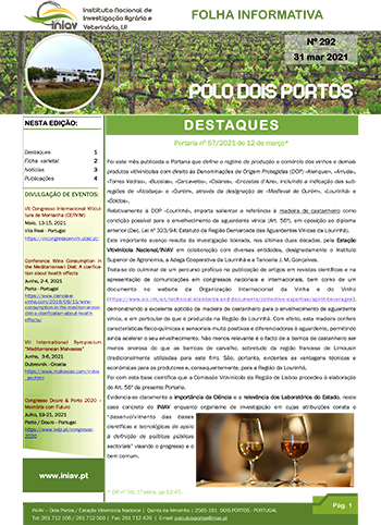 Folha Informativa nº 292 - 31 março 2021