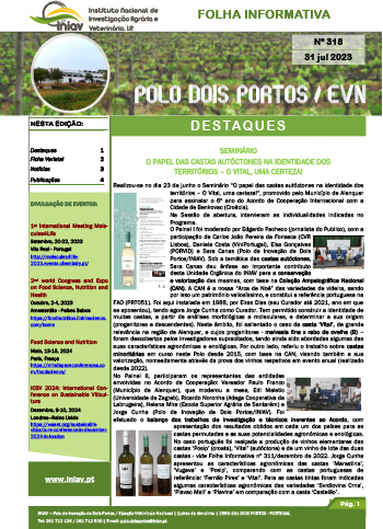 folha informativa