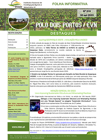 folha informativa