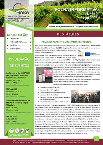 Folha Informativa de Dois Portos do mês de julho 2025
