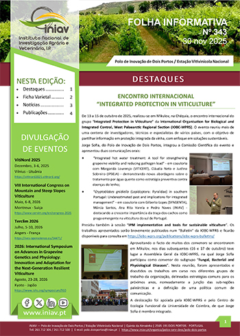 Folha Informativa de Dois Portos do mês de novembro 2025