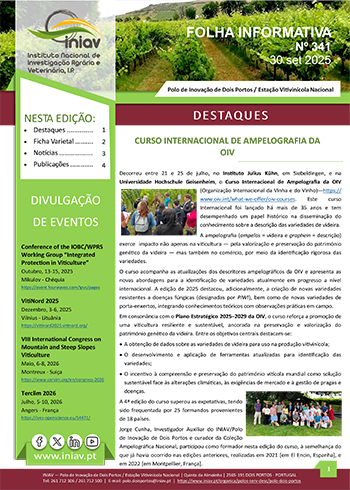 Folha Informativa de Dois Portos do mês de setembro 2025
