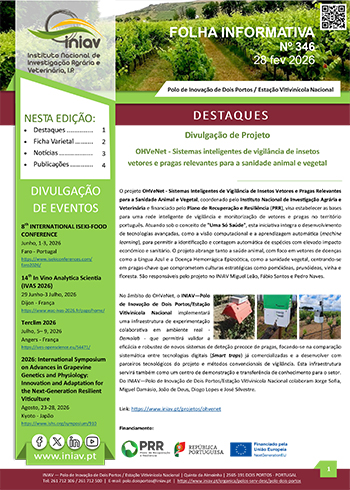 Folha Informativa de Dois Portos do mês de fevereiro 2026 Folha Informativa de Dois Portos do mês de fevereiro 2026