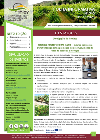 Folha Informativa de Dois Portos do mês de novembro 2025