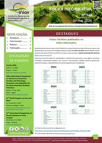 Folha Informativa mensal