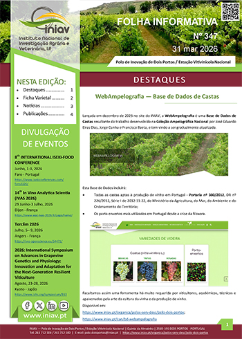 Folha Informativa de Dois Portos do mês de março 2026 Folha Informativa de Dois Portos do mês de março 2026