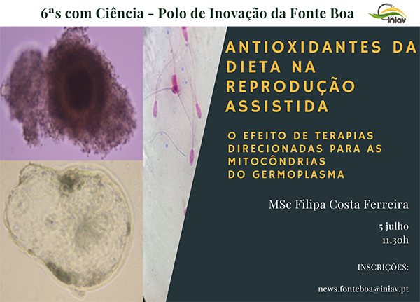 Palestra "Antioxidantes da dieta na reprodução assistida" - 5 de julho 2024