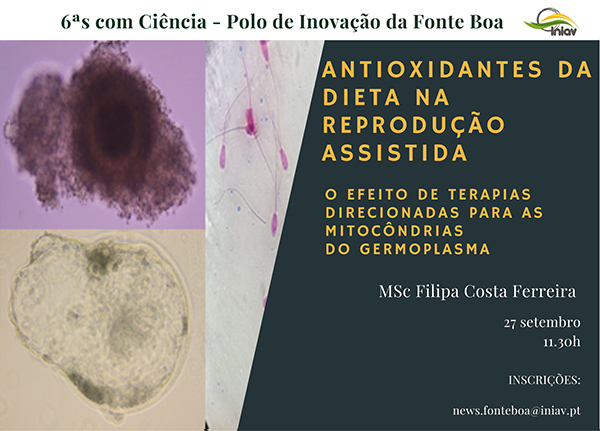 Palestra "Antioxidantes da dieta na reprodução assistida" - 27 de set 2024