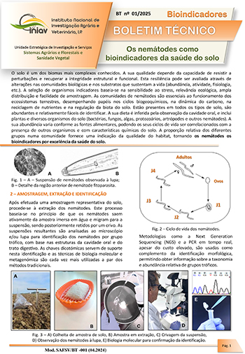 2025 BT 01 Nematodes