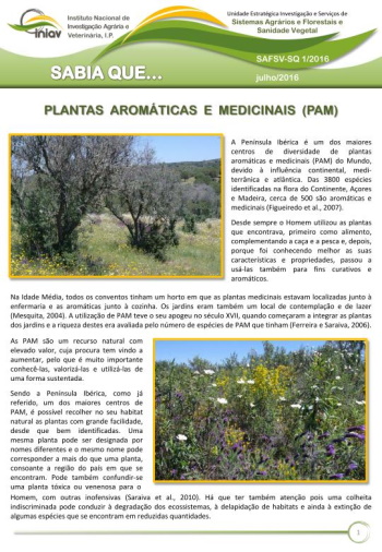 Plantas Aromáticas e Medicinais