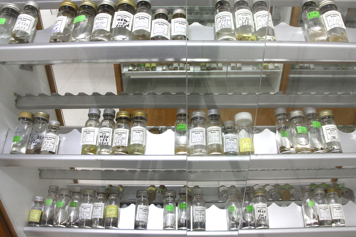 micologia 1