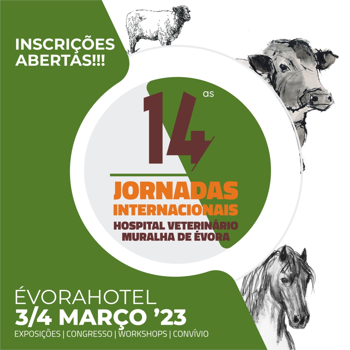 14 jornadas HVME