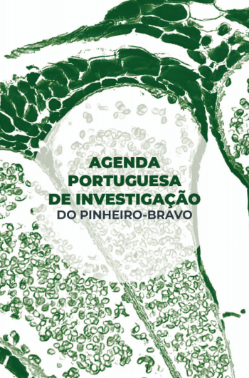 API pinheiro bravo