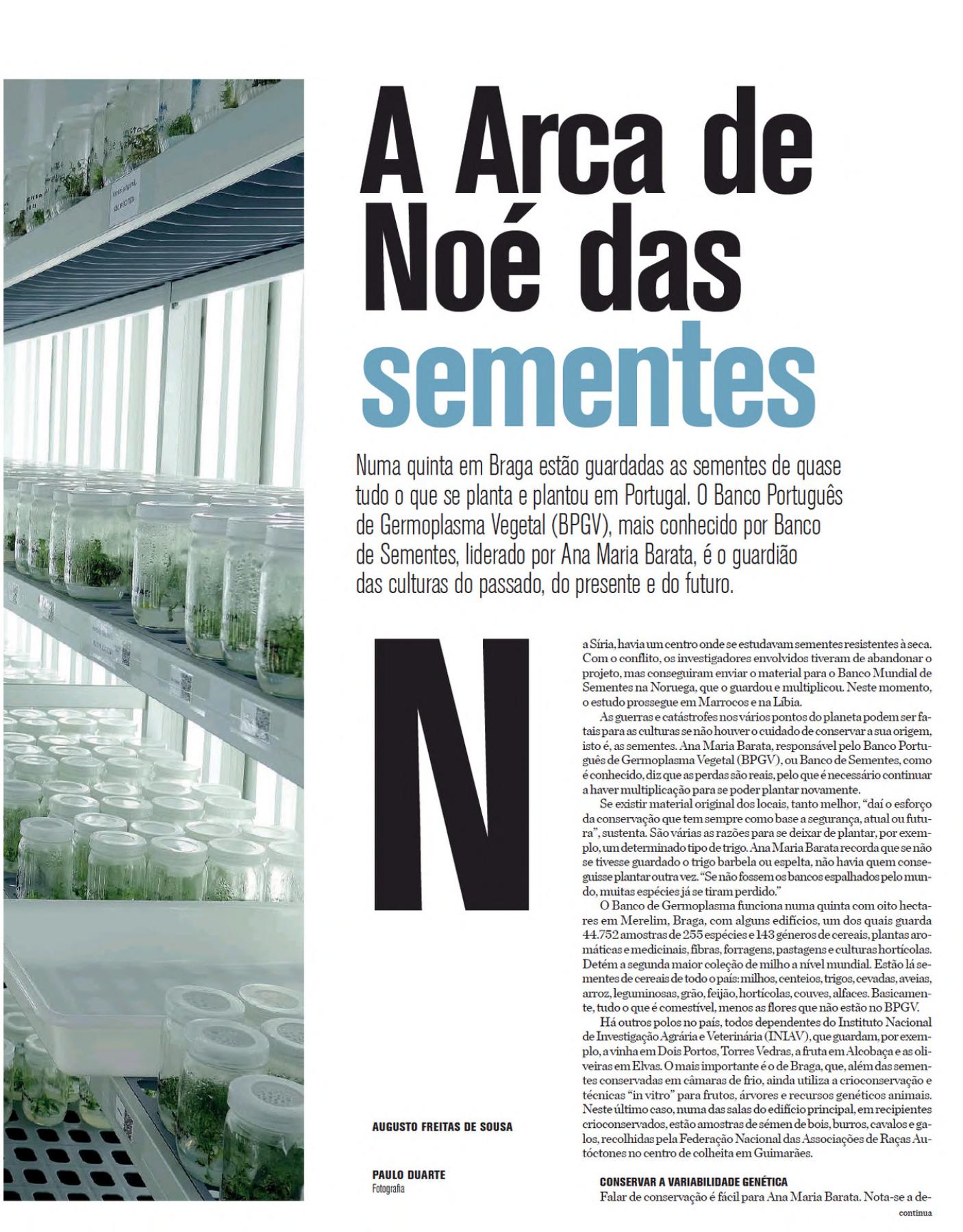 Araca de Noé das sementes