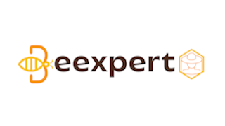 Logo Beexprt
