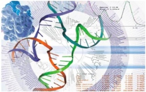 Bioinformatics