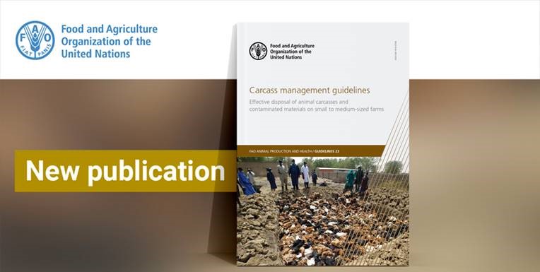 Carcass management guidelines
