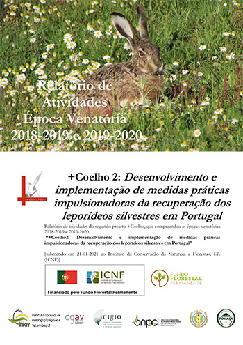 Coelho2 Final Report web