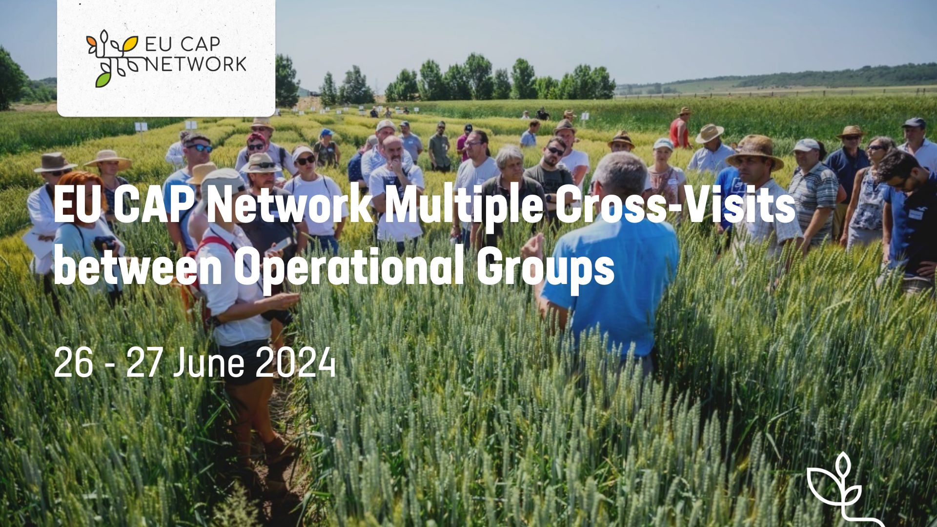 EU CAP Network Multiple cross-visits for Operational Groups. Request for expression of interest