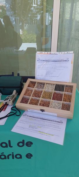 Festival de Ciencia2
