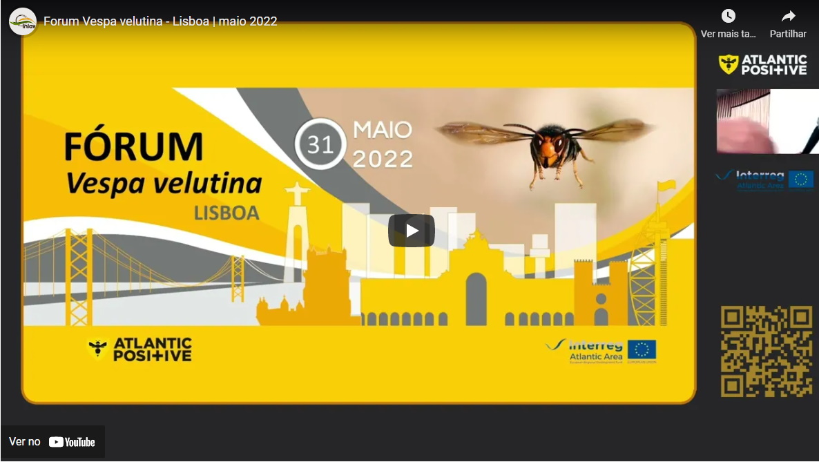 Fórum Vespa velutina Lisboa Atlantic POSitiVE vídeo