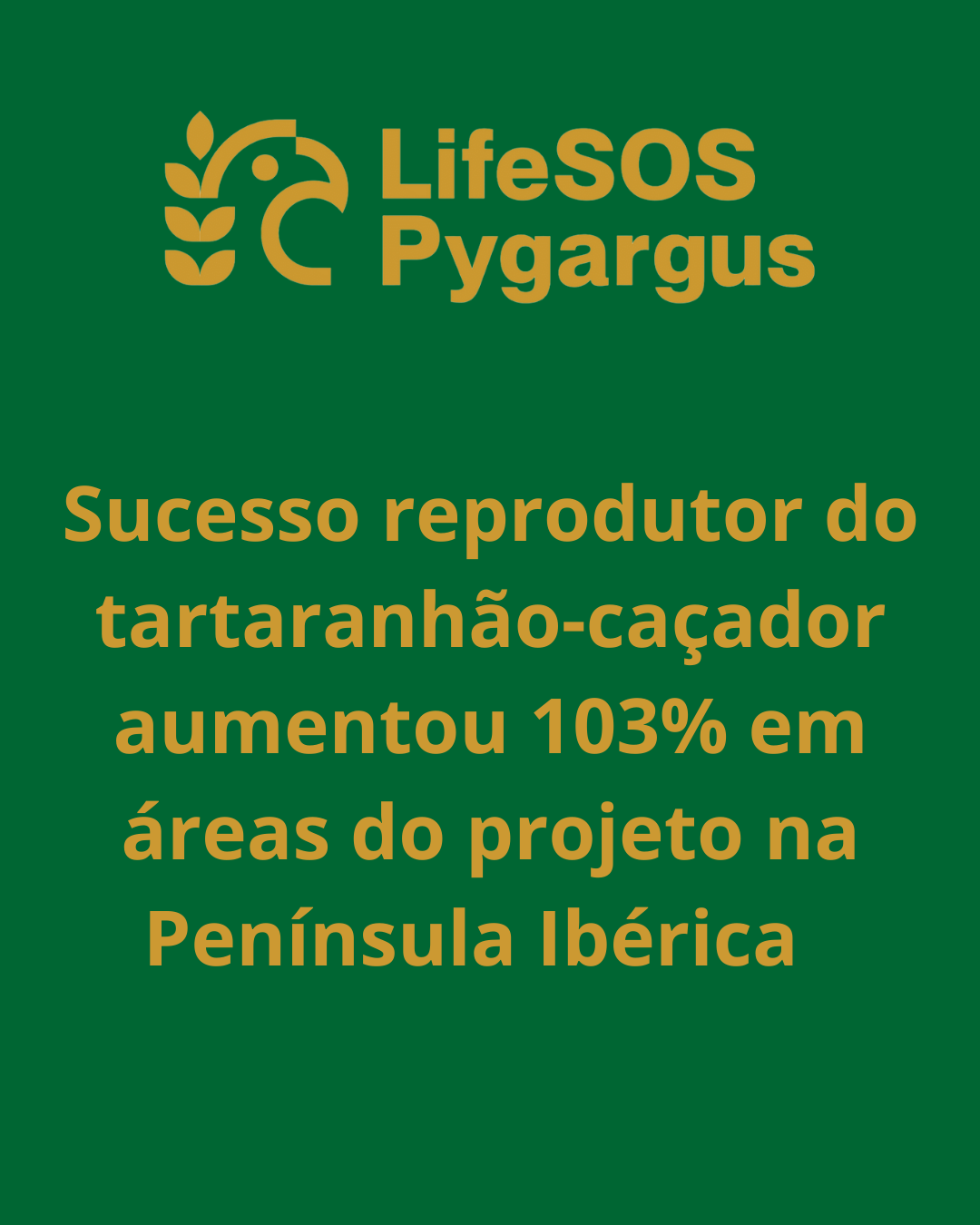 1 CI campanha 2025 suportes RS