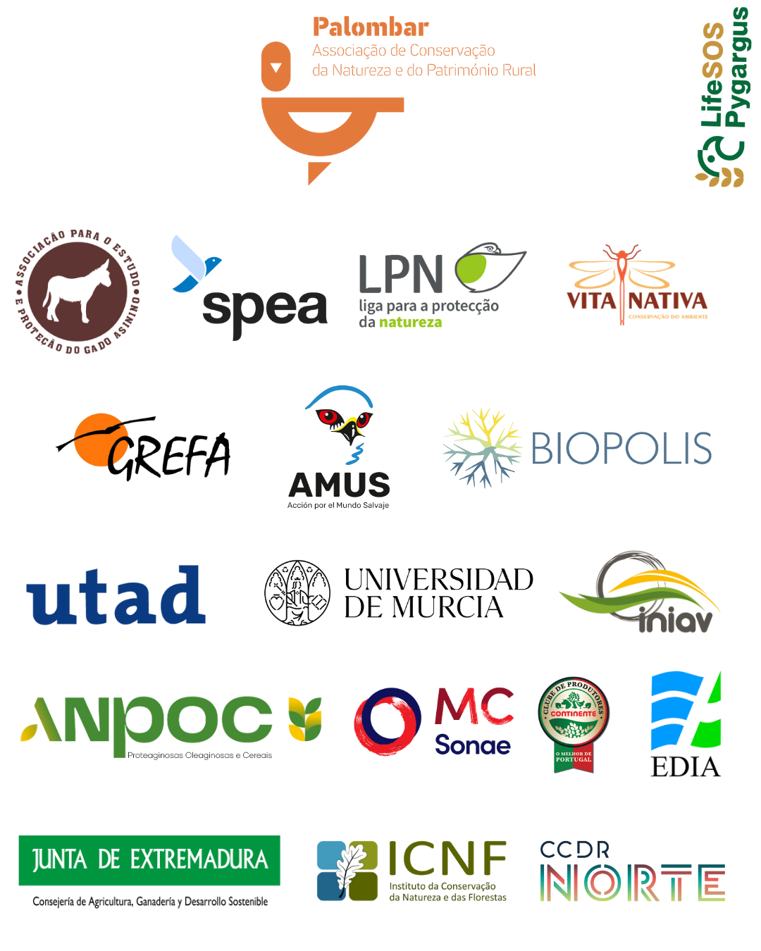 1 CI campanha 2025 suportes RS