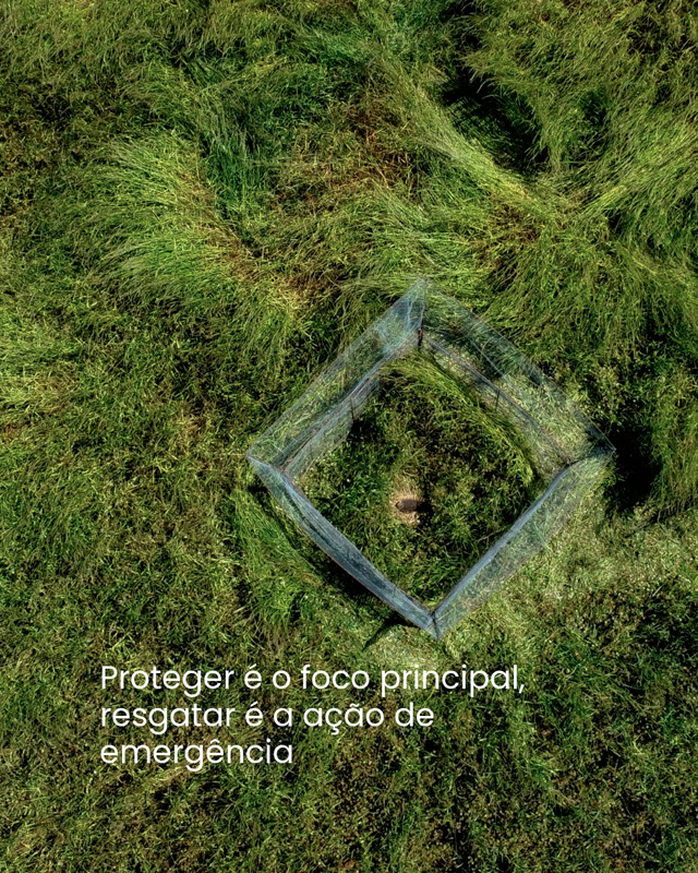 Comunicado de imprensa